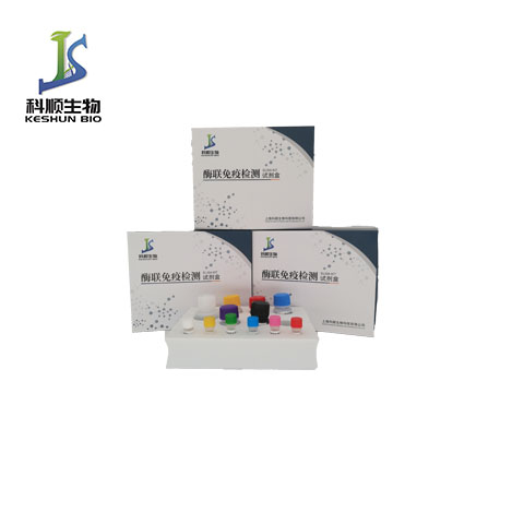 斑馬魚(yú) PTPN5（PTPN5）酶聯(lián)免疫吸附測(cè)定試劑盒